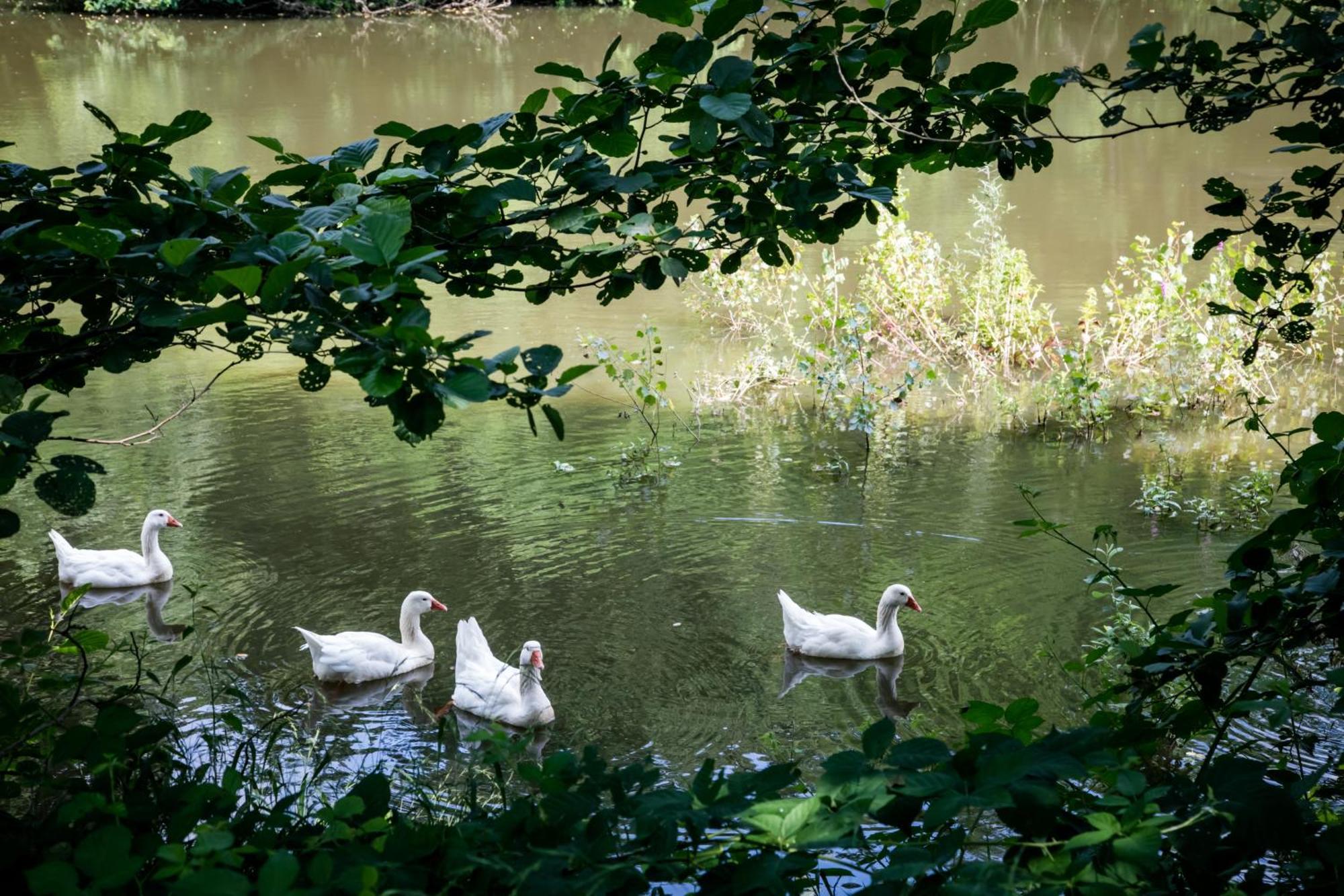 Agriturismo Parco Campofelice Lombardore Екстер'єр фото