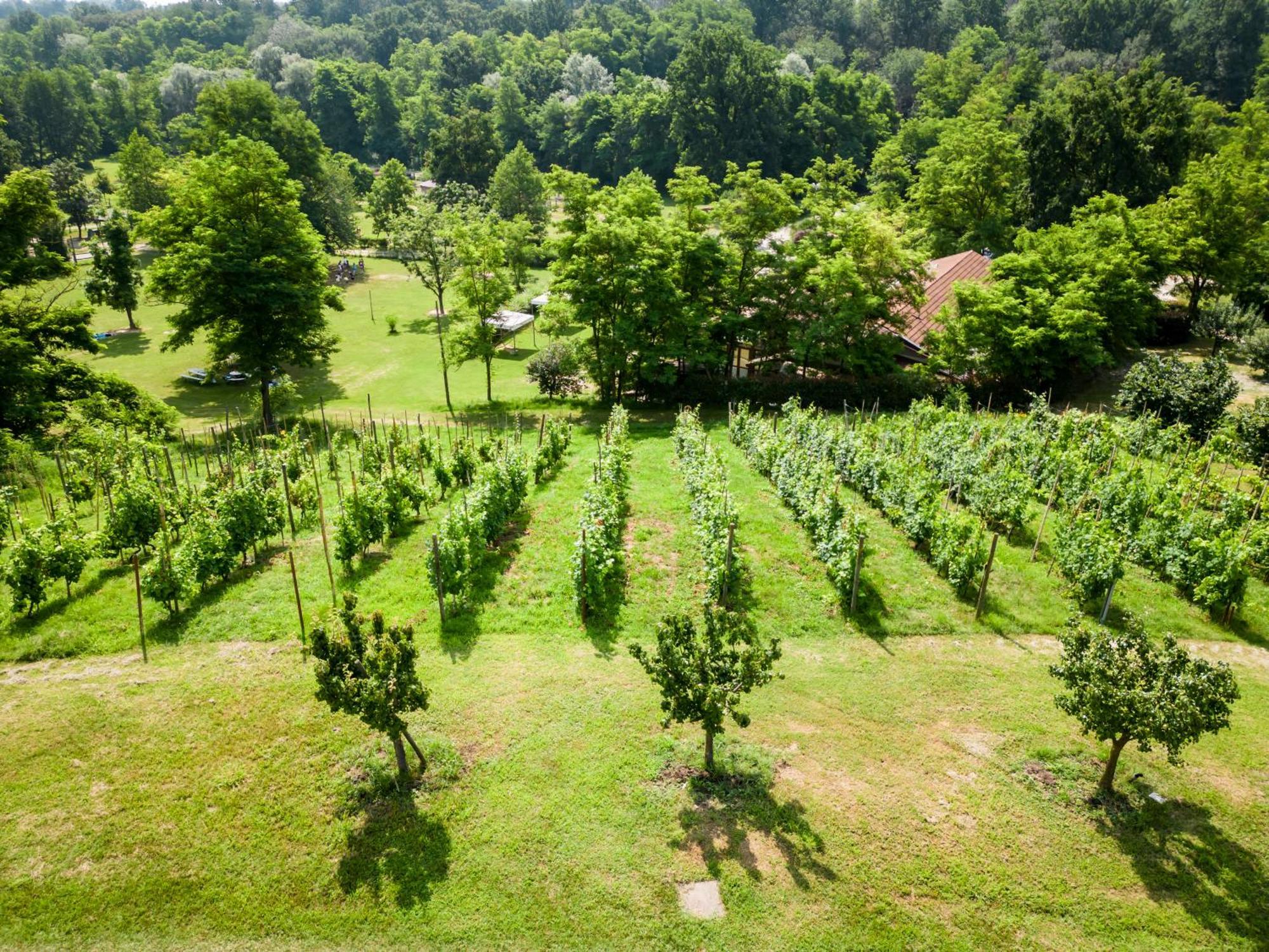 Agriturismo Parco Campofelice Lombardore Екстер'єр фото