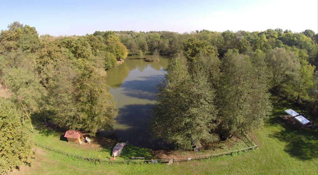 Agriturismo Parco Campofelice Lombardore Екстер'єр фото
